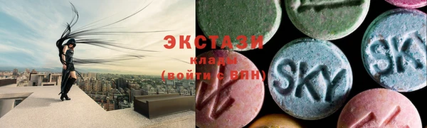 стафф Гусев