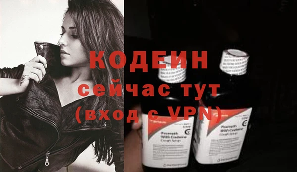 стафф Гусев