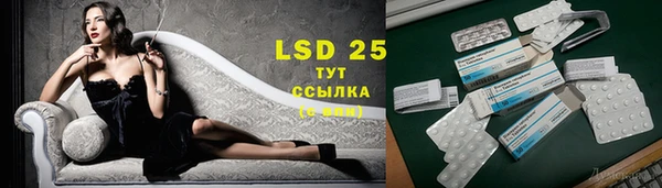 стафф Гусев