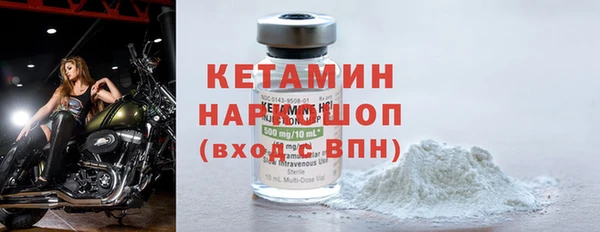 стафф Гусев
