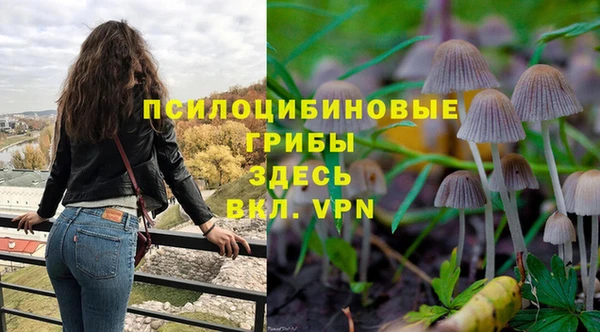 шишки Гусь-Хрустальный
