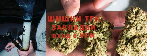 шишки Гусь-Хрустальный