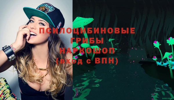 таблы Ельня