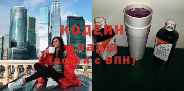 шишки Гусь-Хрустальный