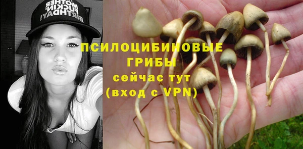 стафф Гусев