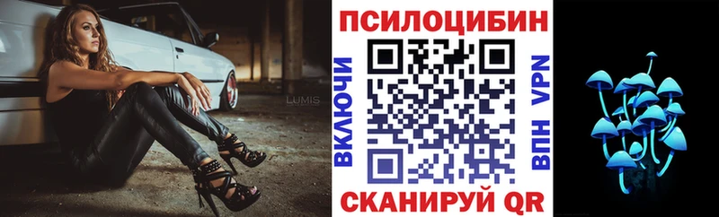Псилоцибиновые грибы Cubensis Котельниково